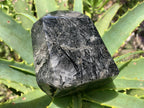 Polished Tourmalinated Inclusion Quartz Crystal x 1 From Madagascar