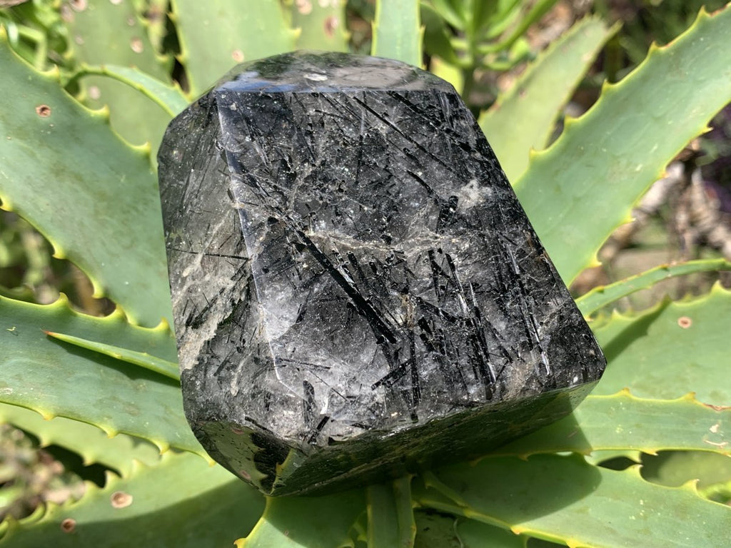 Polished Tourmalinated Inclusion Quartz Crystal x 1 From Madagascar
