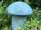Polished Amazonite Mushroom x 1 From Madagascar