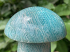 Polished Amazonite Mushroom x 1 From Madagascar