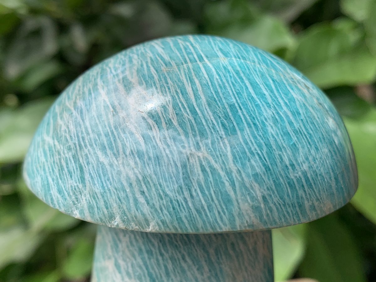 Polished Amazonite Mushroom x 1 From Madagascar