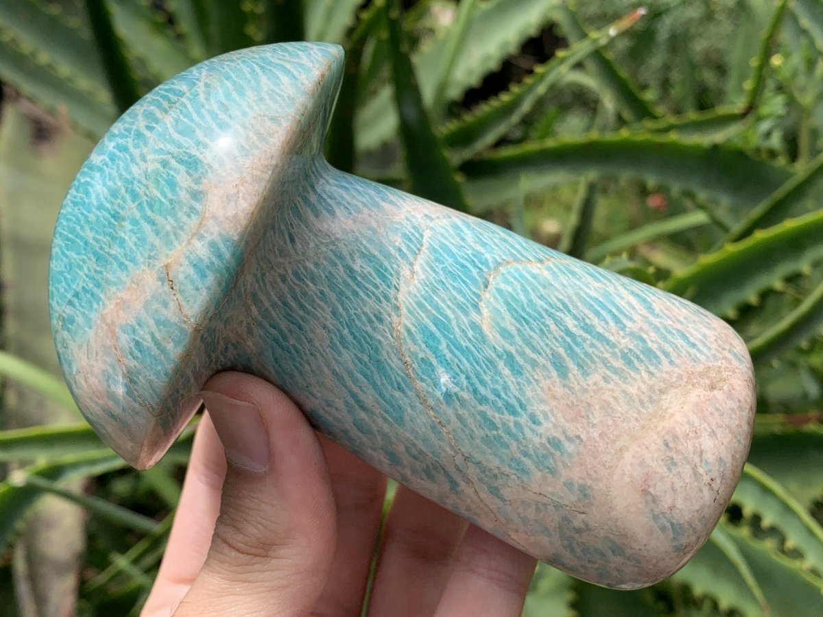 Polished Amazonite Mushroom x 1 From Madagascar