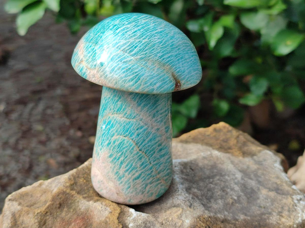 Polished Amazonite Mushroom x 1 From Madagascar