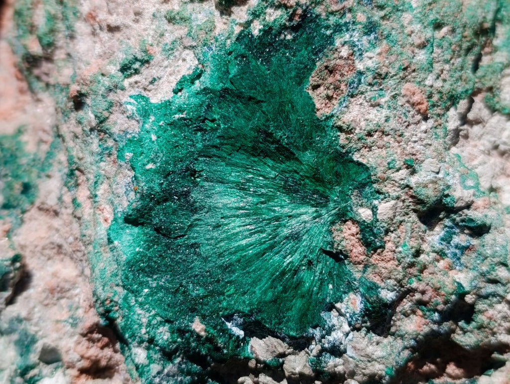 Natural XL Yellow Calcite Geode in a Malachite Matrix x 1 From Mashamba West Mine, Congo