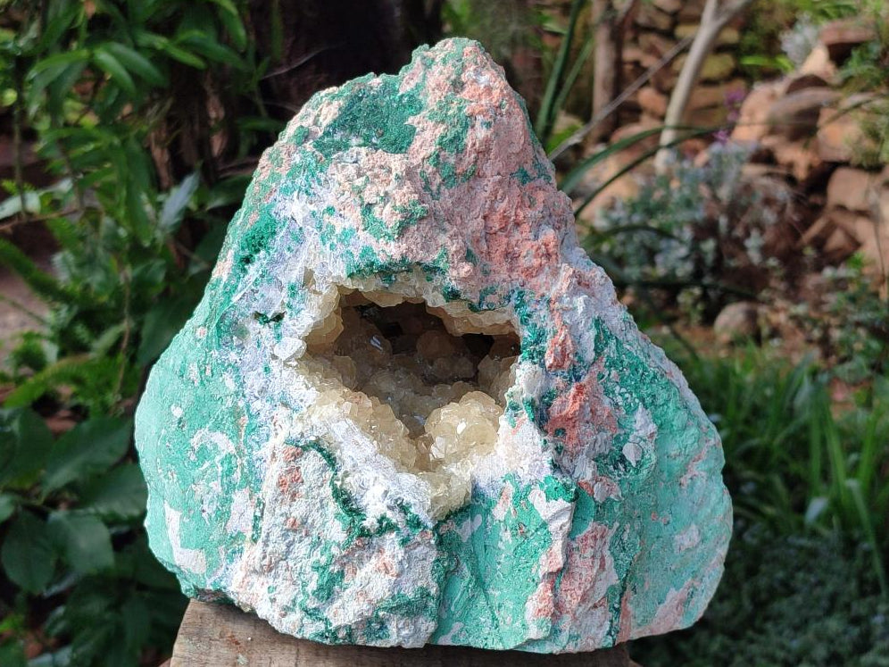 Natural XL Yellow Calcite Geode in a Malachite Matrix x 1 From Mashamba West Mine, Congo