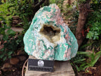 Natural XL Yellow Calcite Geode in a Malachite Matrix x 1 From Mashamba West Mine, Congo