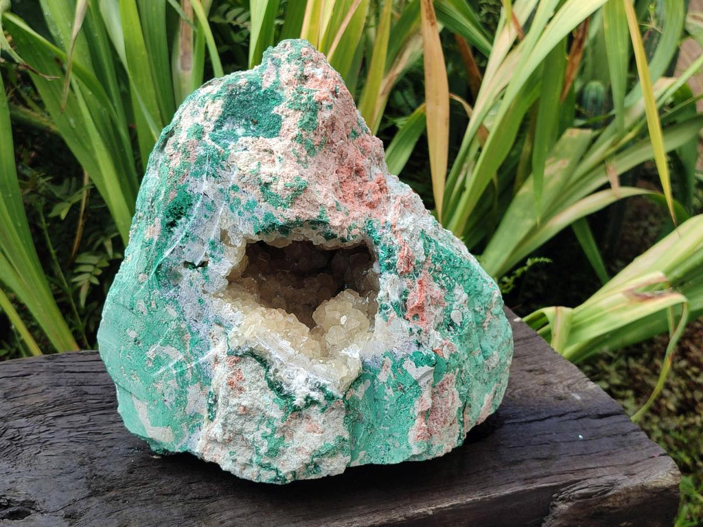 Natural XL Yellow Calcite Geode in a Malachite Matrix x 1 From Mashamba West Mine, Congo
