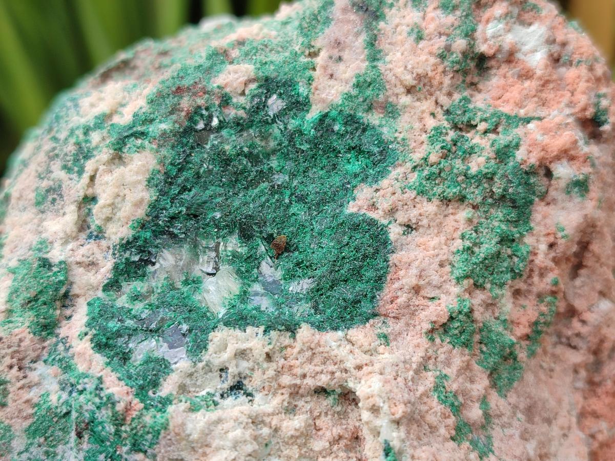 Natural XL Yellow Calcite Geode in a Malachite Matrix x 1 From Mashamba West Mine, Congo