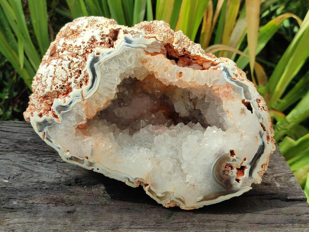 Polished One Side Large Coral Agate Crystalline Centred Standing Geode x 1 From Maintirano, Madagascar