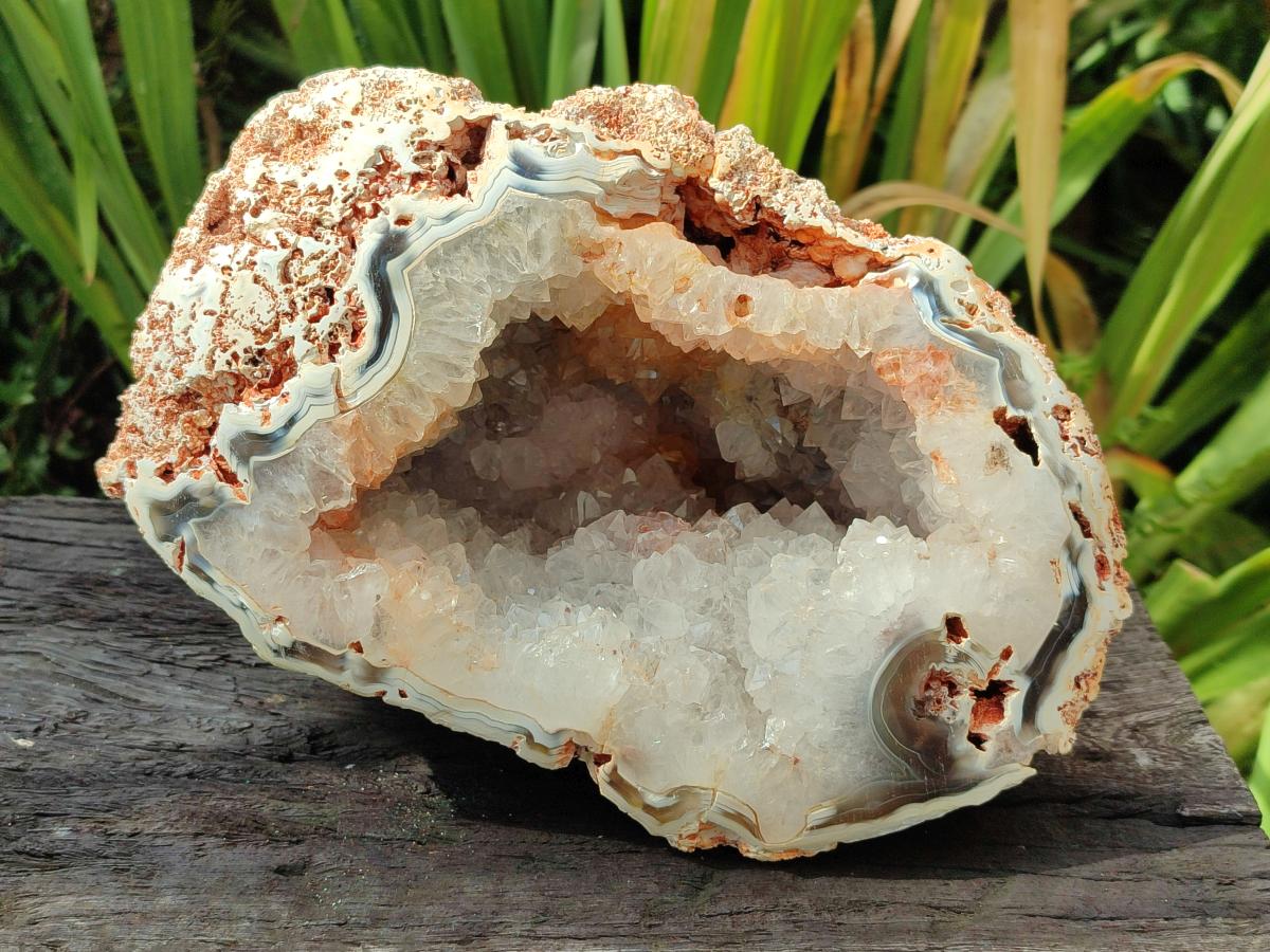 Polished One Side Large Coral Agate Crystalline Centred Standing Geode x 1 From Maintirano, Madagascar