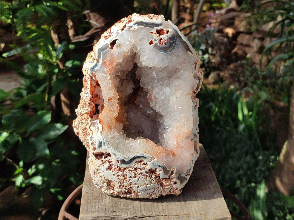 Polished One Side Large Coral Agate Crystalline Centred Standing Geode x 1 From Maintirano, Madagascar