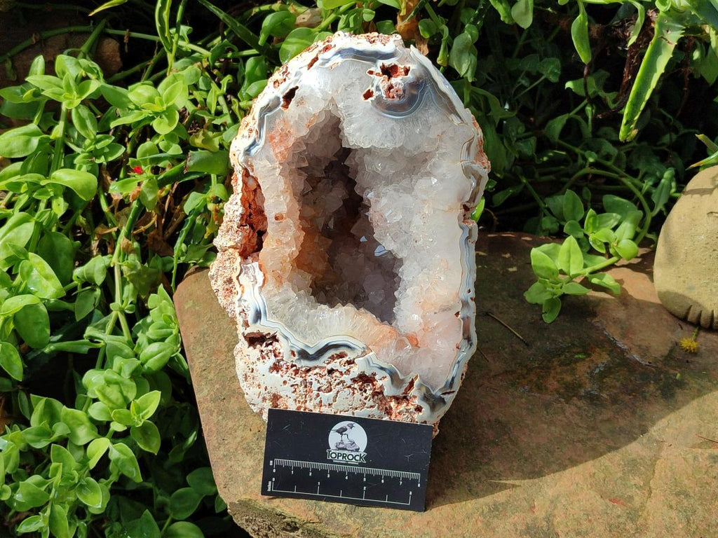 Polished One Side Large Coral Agate Crystalline Centred Standing Geode x 1 From Maintirano, Madagascar