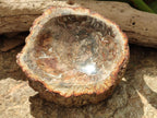 Polished Petrified Wood Bowl x 1 From Mahajanga Madagascar