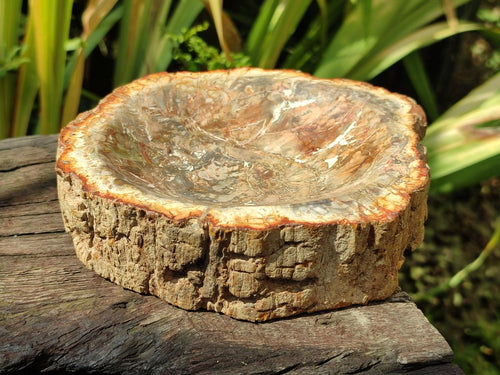 Polished Petrified Wood Bowl x 1 From Mahajanga Madagascar