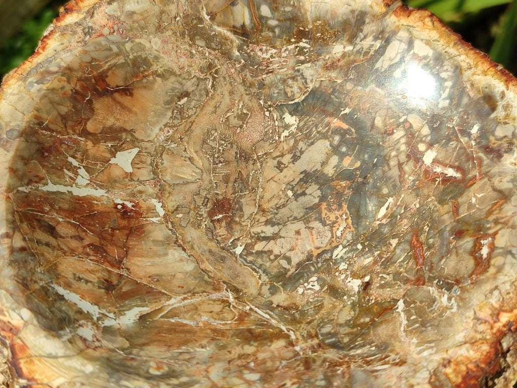 Polished Petrified Wood Bowl x 1 From Mahajanga Madagascar