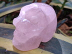 Hand Carved Gemmy Star Rose Quartz Skull Carving x 1 From Ambatondrazaka, Madagascar