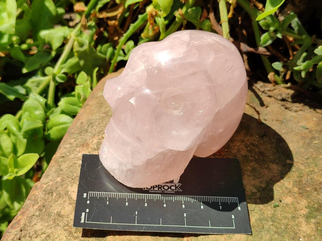 Hand Carved Gemmy Star Rose Quartz Skull Carving x 1 From Ambatondrazaka, Madagascar