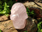 Hand Carved Gemmy Star Rose Quartz Skull Carving x 1 From Ambatondrazaka, Madagascar