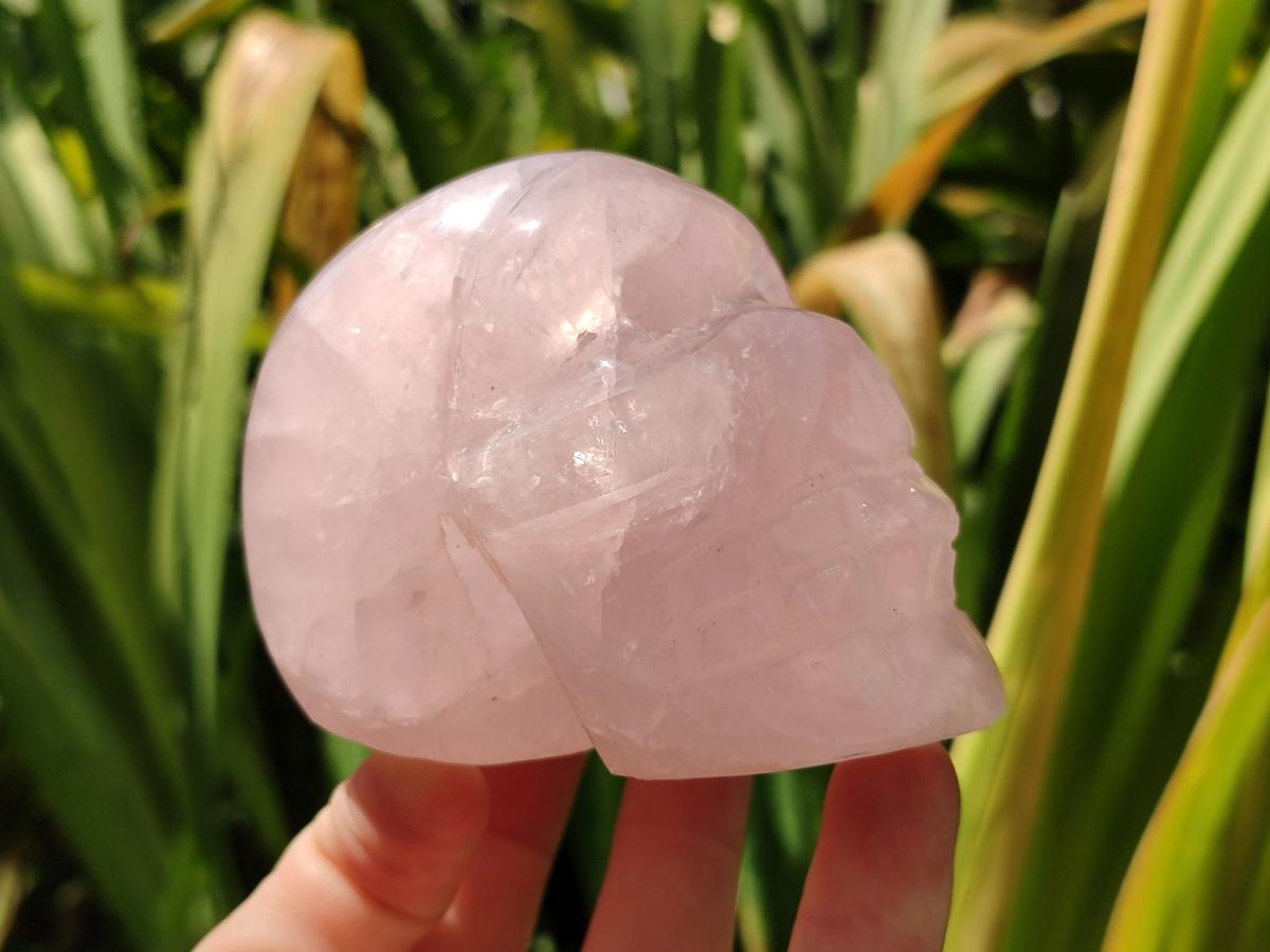Hand Carved Gemmy Star Rose Quartz Skull Carving x 1 From Ambatondrazaka, Madagascar