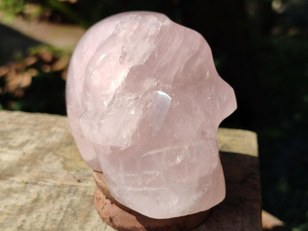 Hand Carved Gemmy Star Rose Quartz Skull Carving x 1 From Ambatondrazaka, Madagascar