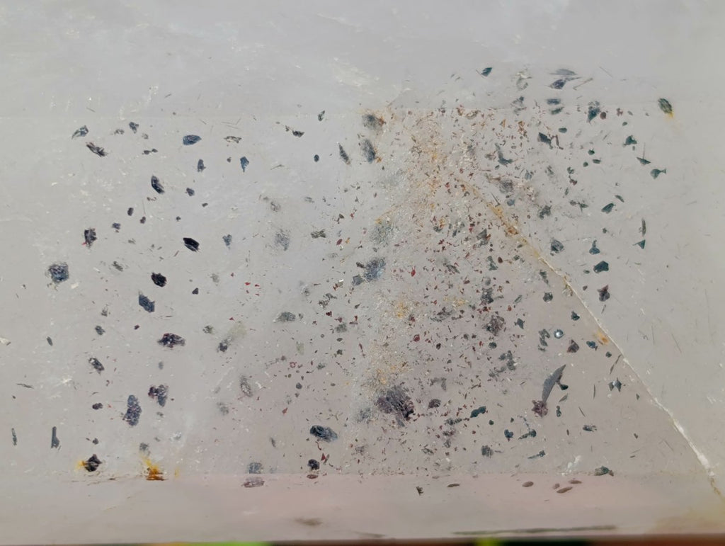 Polished White Quartz Crystal with Inclusions x 1 From Angola