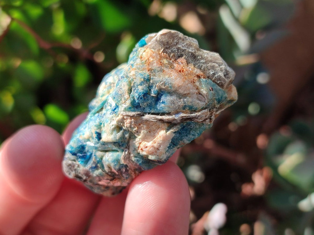 Natural Ultra Rare Blue Euclase Specimen x 1 From Zimbabwe