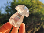 Polished Clear Rock Crystal Mushroom x 1 From Madagascar
