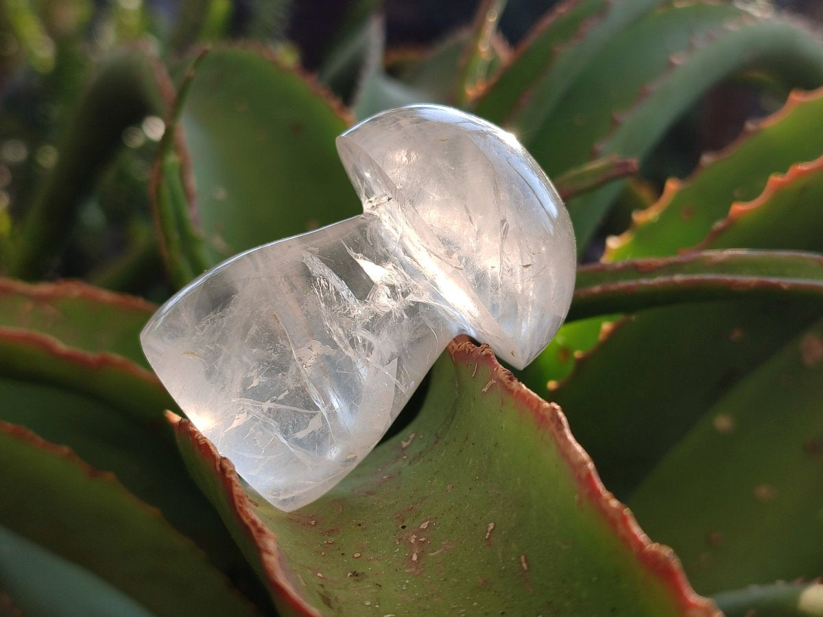 Polished Clear Rock Crystal Mushroom x 1 From Madagascar