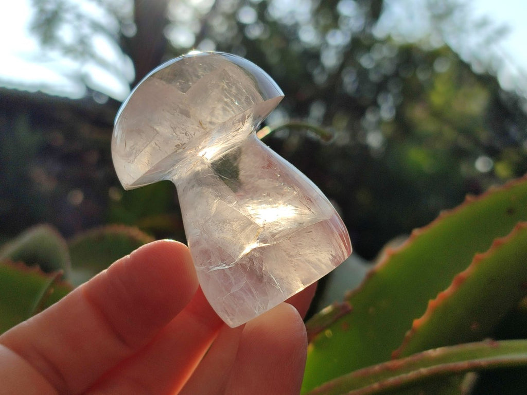 Polished Clear Rock Crystal Mushroom x 1 From Madagascar