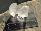Polished Clear Rock Crystal Mushroom x 1 From Madagascar