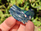 Natural Ultra Rare Bladed Azurite Crystal x 1 From Tsumeb, Namibia