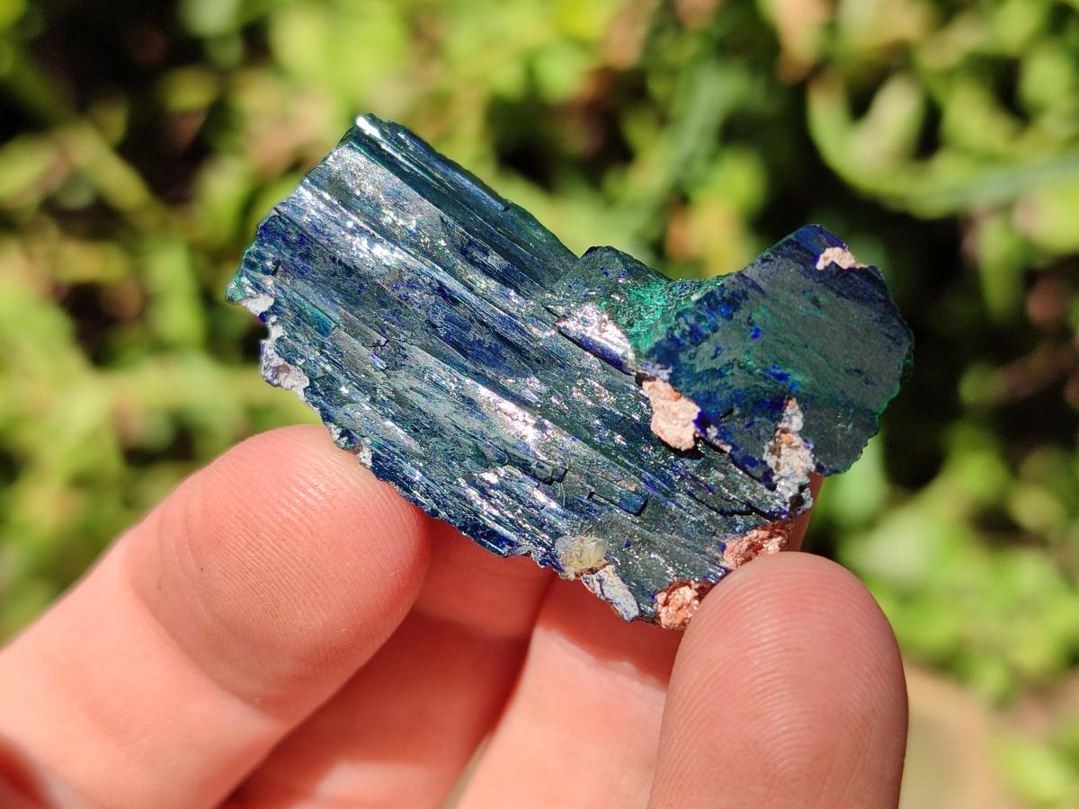 Natural Ultra Rare Bladed Azurite Crystal x 1 From Tsumeb, Namibia