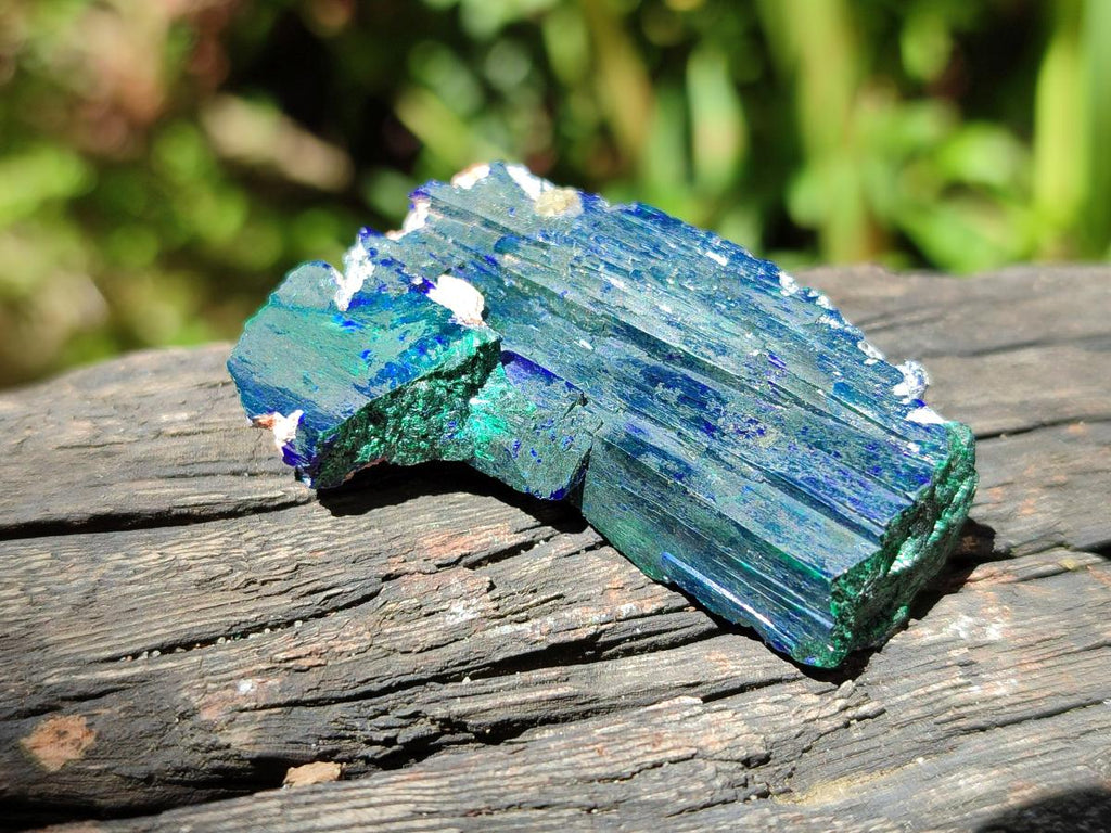 Natural Ultra Rare Bladed Azurite Crystal x 1 From Tsumeb, Namibia