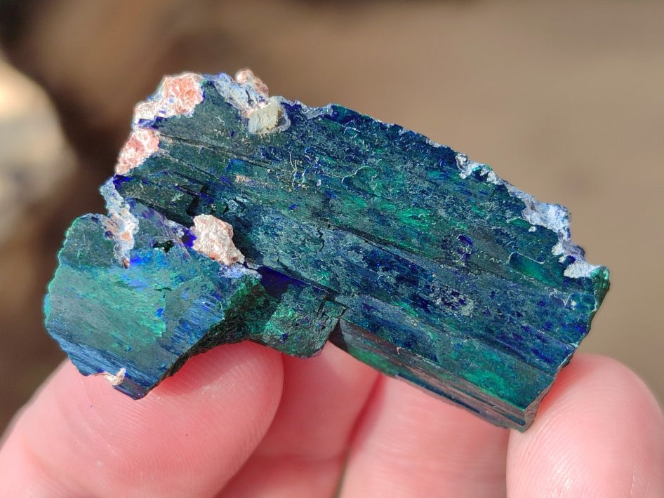 Natural Ultra Rare Bladed Azurite Crystal x 1 From Tsumeb, Namibia