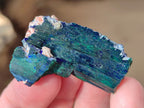 Natural Ultra Rare Bladed Azurite Crystal x 1 From Tsumeb, Namibia