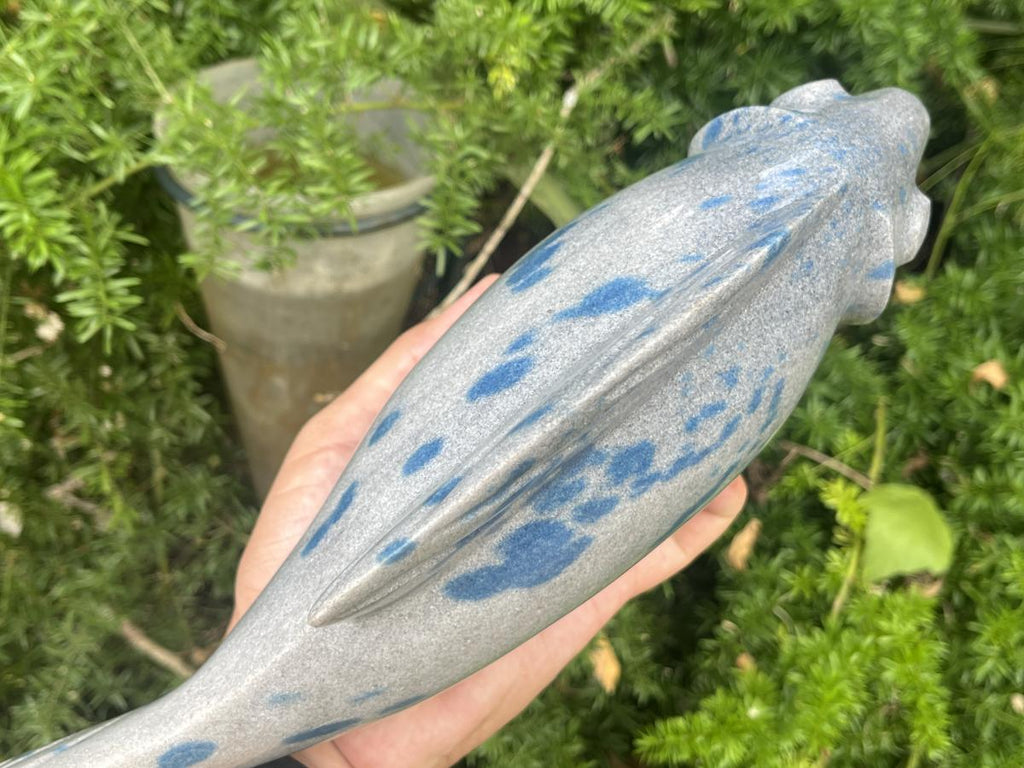 Hand Made Large Polished Blue Spotted Spinel Fish Carving x 1 From Madagascar