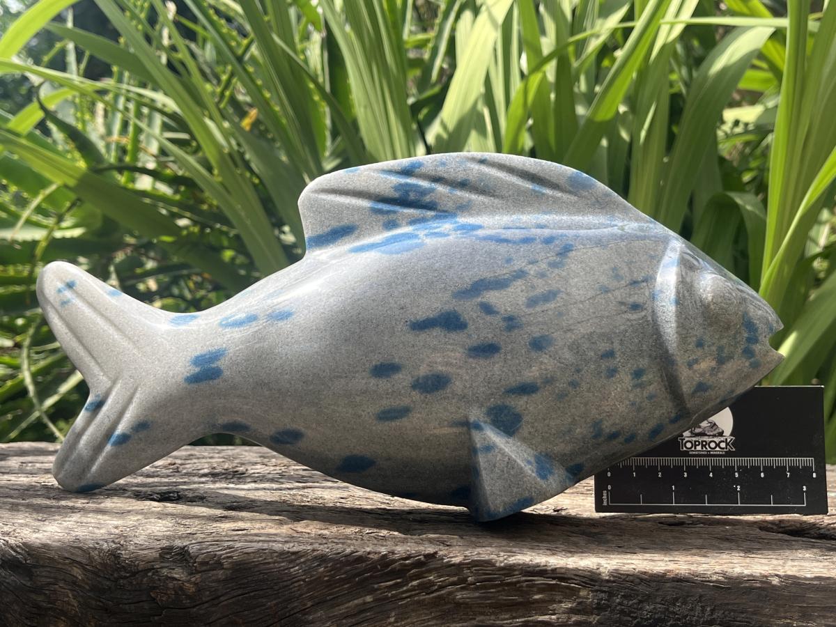 Hand Made Large Polished Blue Spotted Spinel Fish Carving x 1 From Madagascar