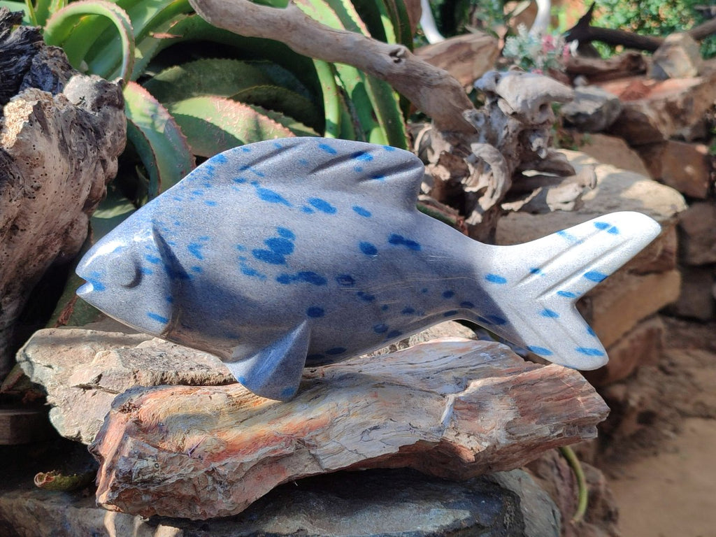 Hand Made Large Polished Blue Spotted Spinel Fish Carving x 1 From Madagascar