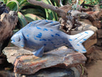 Hand Made Large Polished Blue Spotted Spinel Fish Carving x 1 From Madagascar