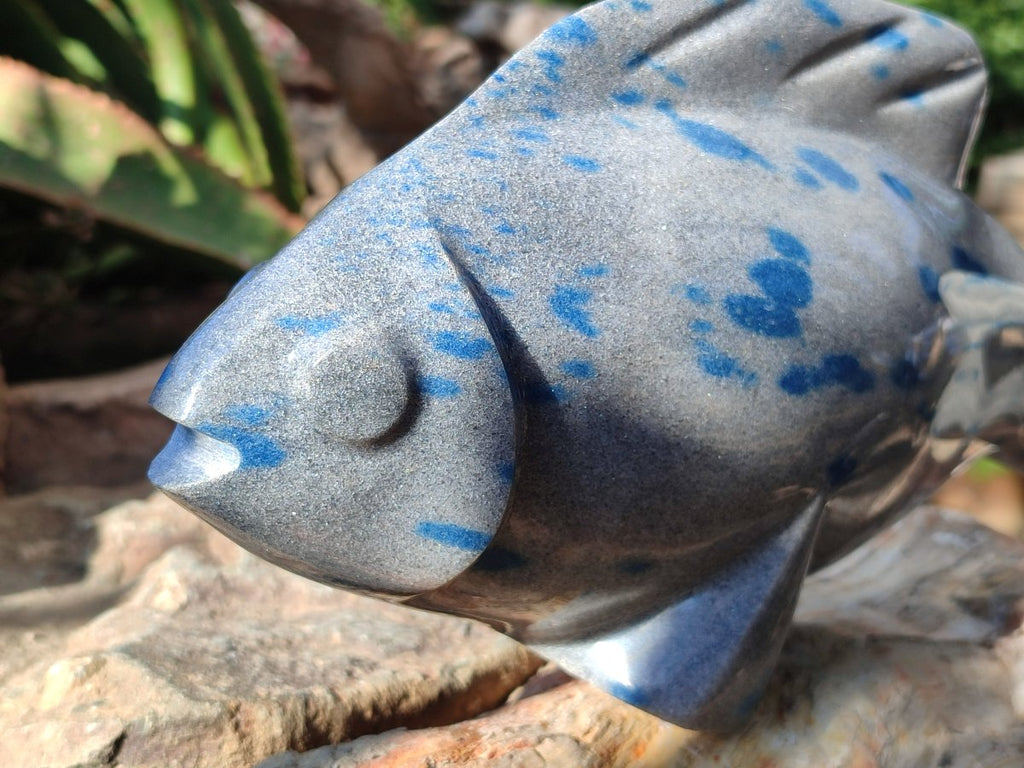 Hand Made Large Polished Blue Spotted Spinel Fish Carving x 1 From Madagascar