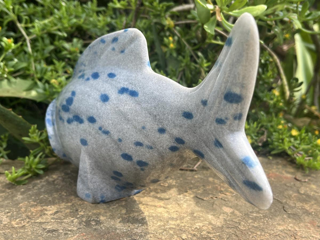 Hand Made Large Polished Blue Spotted Spinel Fish Carving x 1 From Madagascar