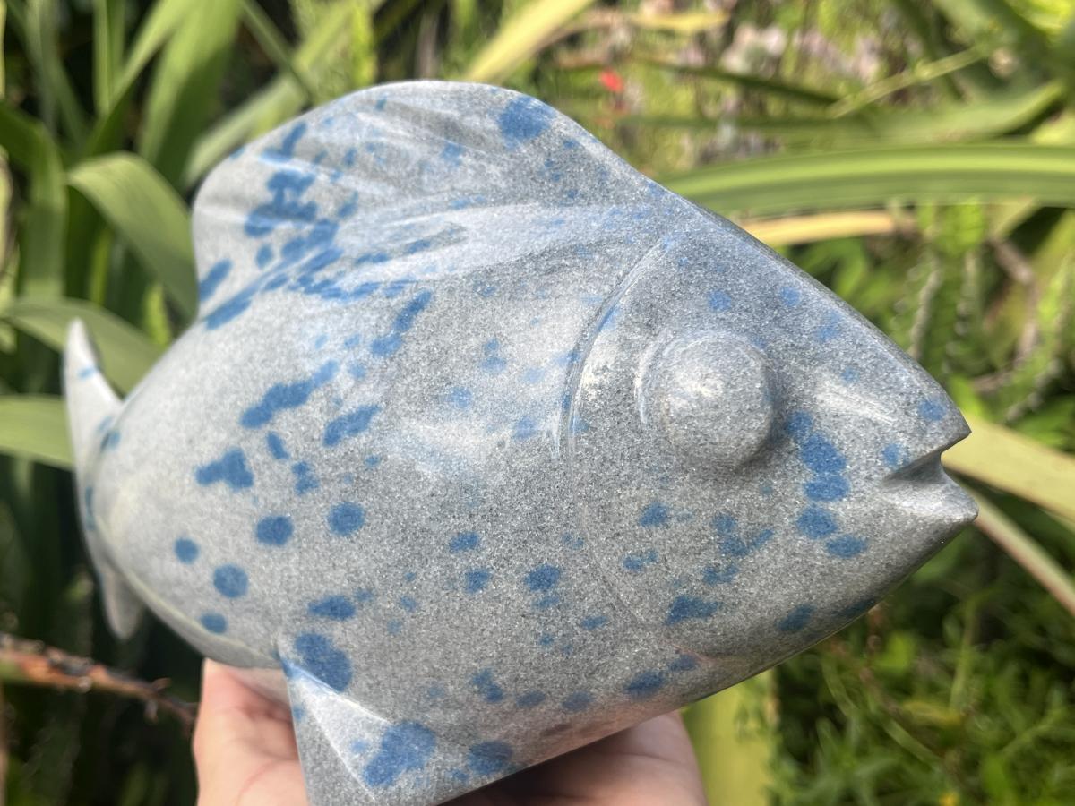 Hand Made Large Polished Blue Spotted Spinel Fish Carving x 1 From Madagascar