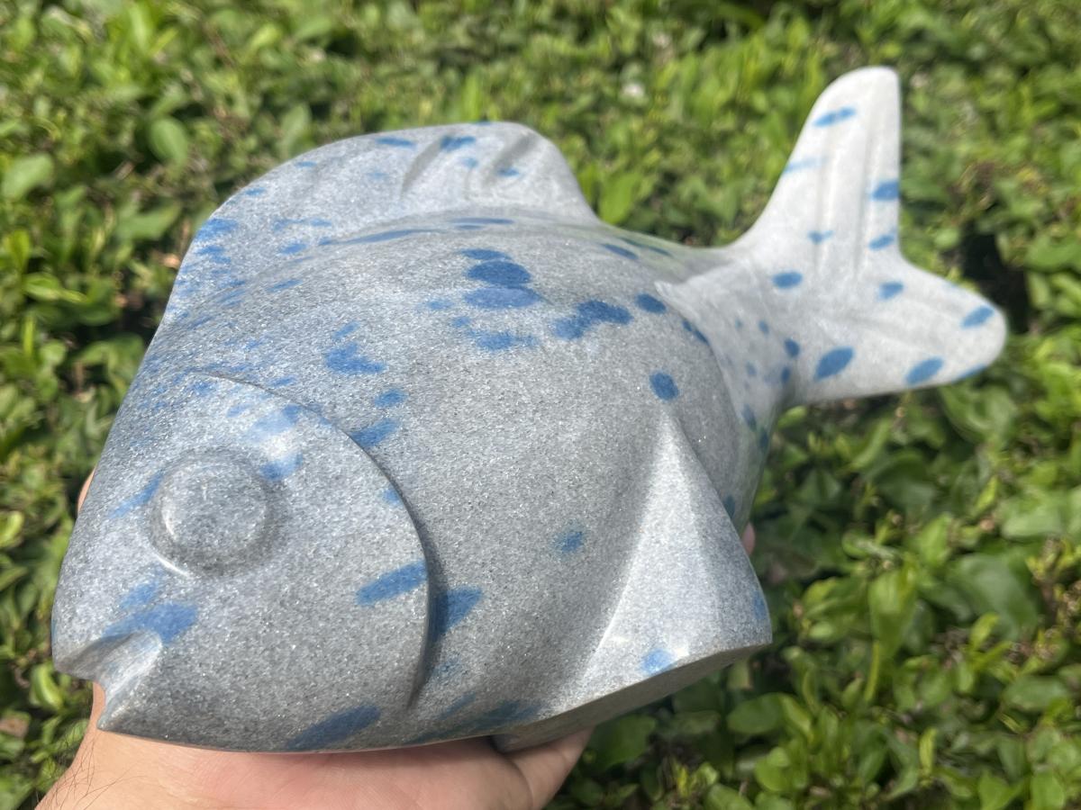 Hand Made Large Polished Blue Spotted Spinel Fish Carving x 1 From Madagascar