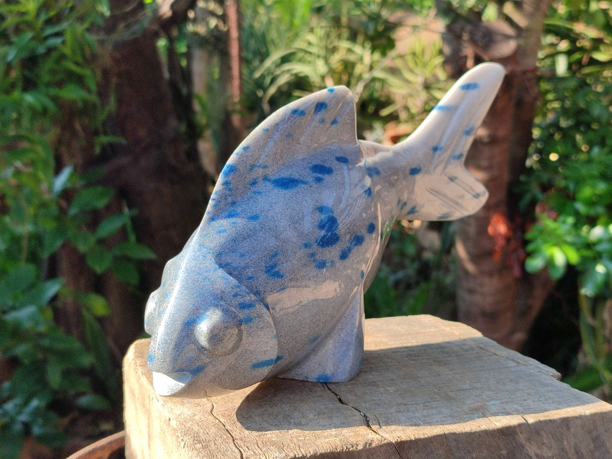 Hand Made Large Polished Blue Spotted Spinel Fish Carving x 1 From Madagascar