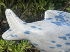 Hand Made Large Polished Blue Spotted Spinel Fish Carving x 1 From Madagascar
