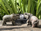 Polished Pair of Snakeskin Rhyolite Jasper Elephant Carvings x 1 From Australia