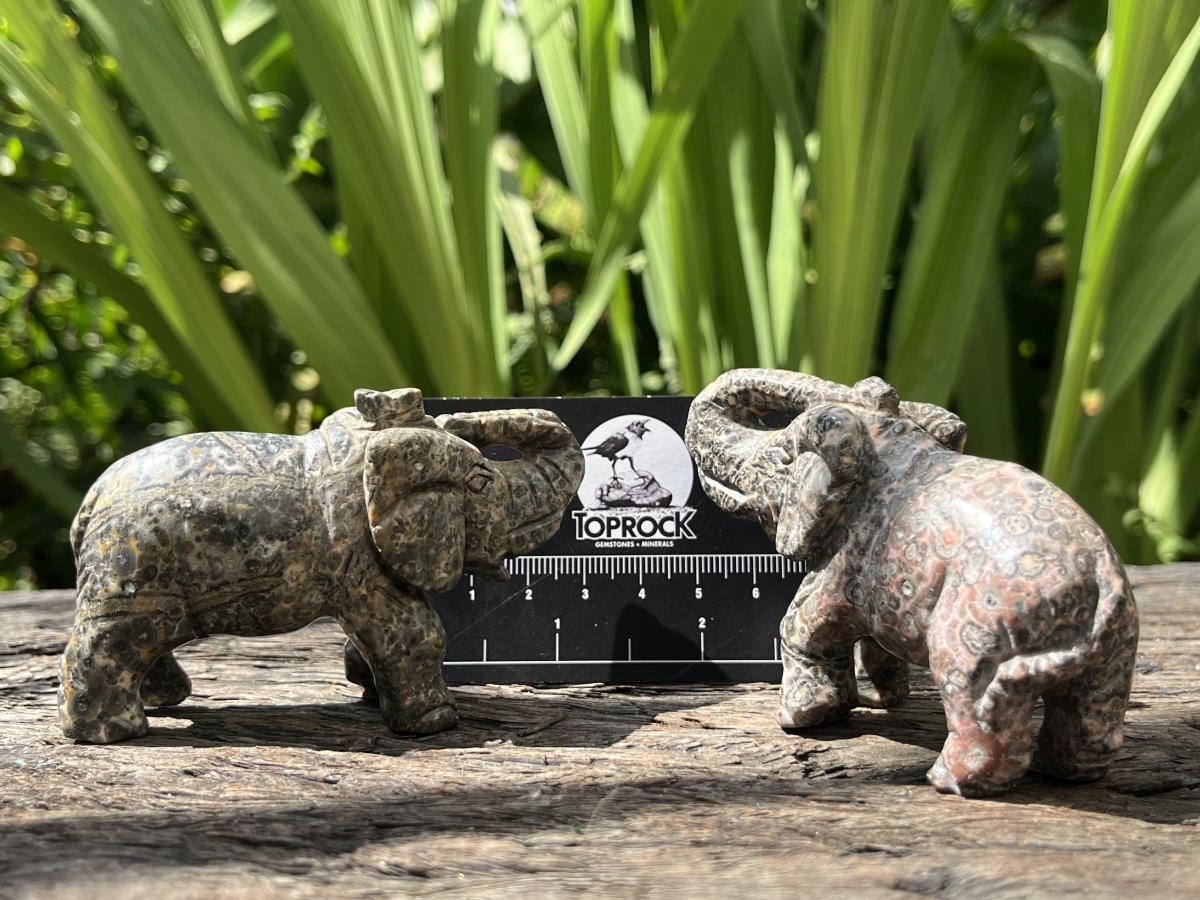 Polished Pair of Snakeskin Rhyolite Jasper Elephant Carvings x 1 From Australia