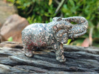 Polished Pair of Snakeskin Rhyolite Jasper Elephant Carvings x 1 From Australia