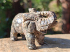 Polished Pair of Snakeskin Rhyolite Jasper Elephant Carvings x 1 From Australia