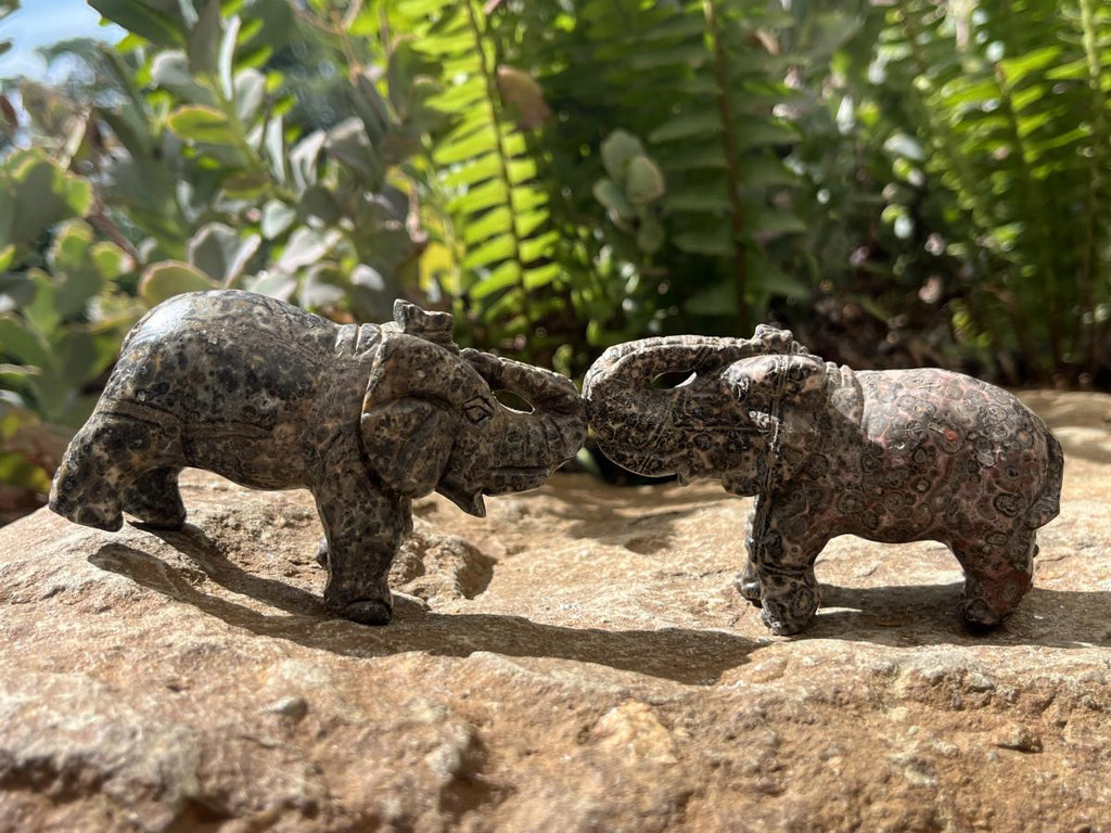 Polished Pair of Snakeskin Rhyolite Jasper Elephant Carvings x 1 From Australia
